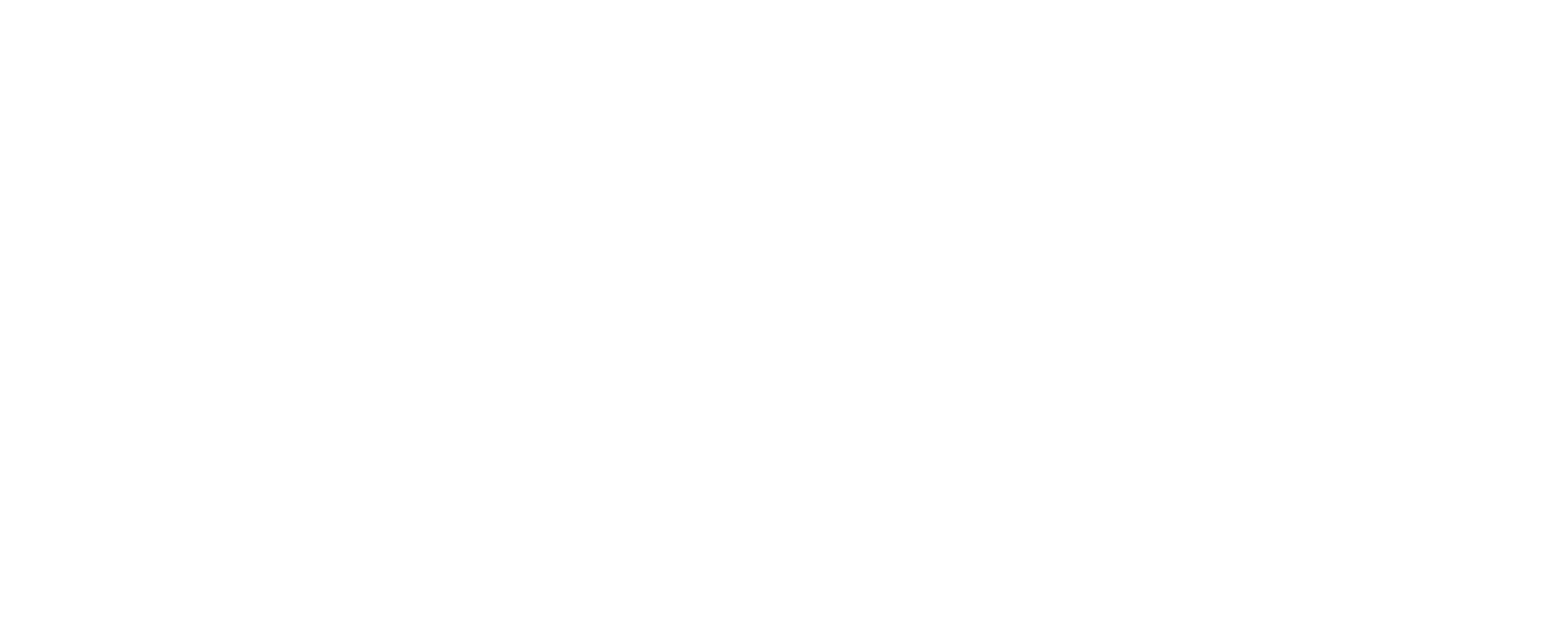 B.R.A.I.N.S. Technique™
